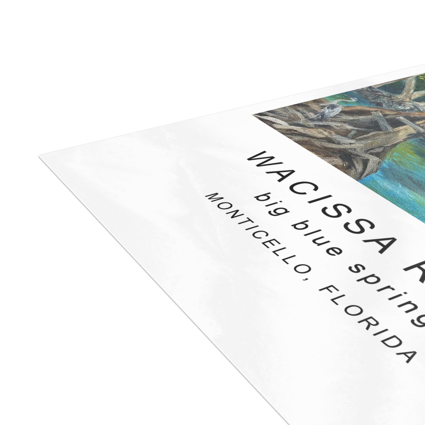 Wacissa River Big Blue Spring Postcard Bundle