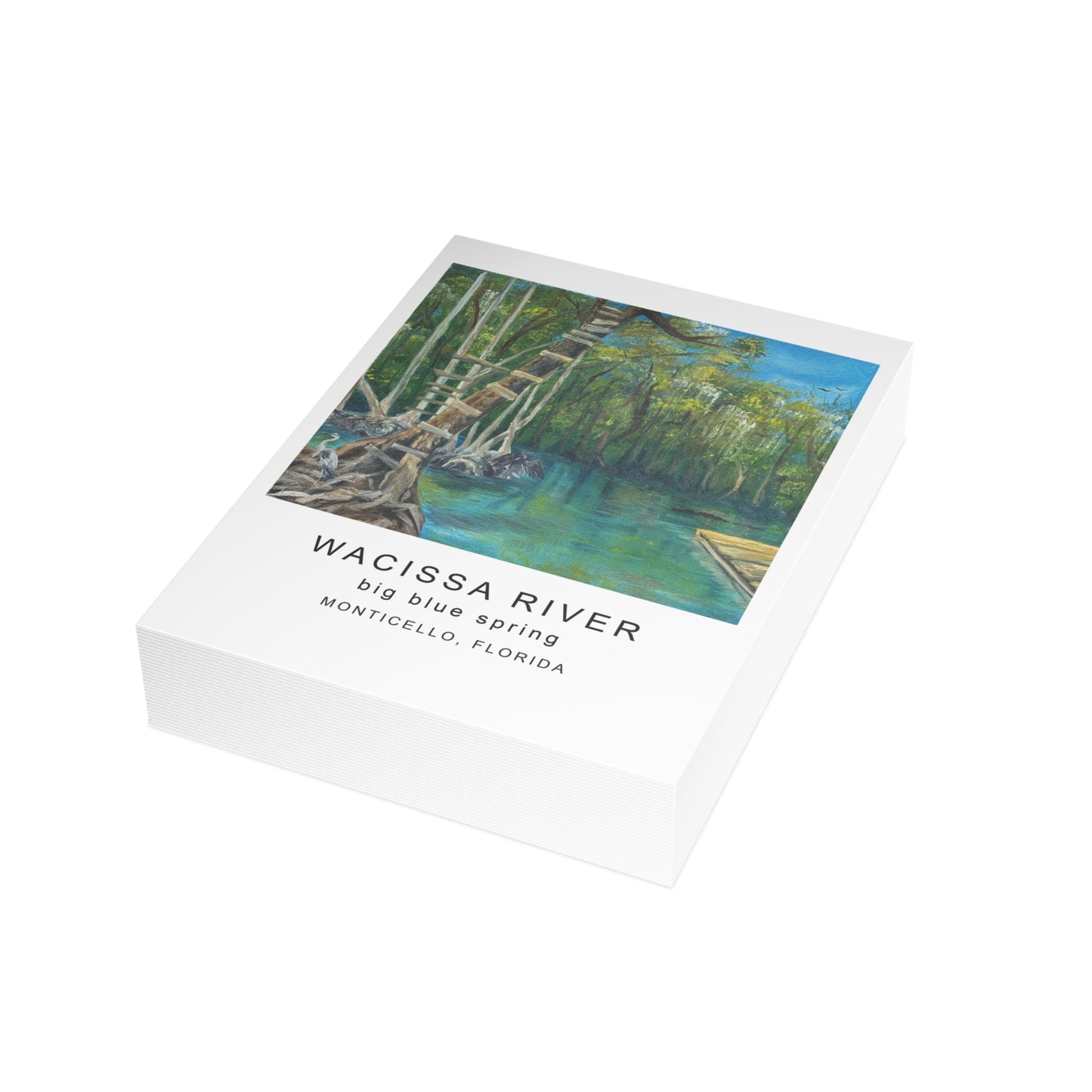 Wacissa River Big Blue Spring Postcard Bundle
