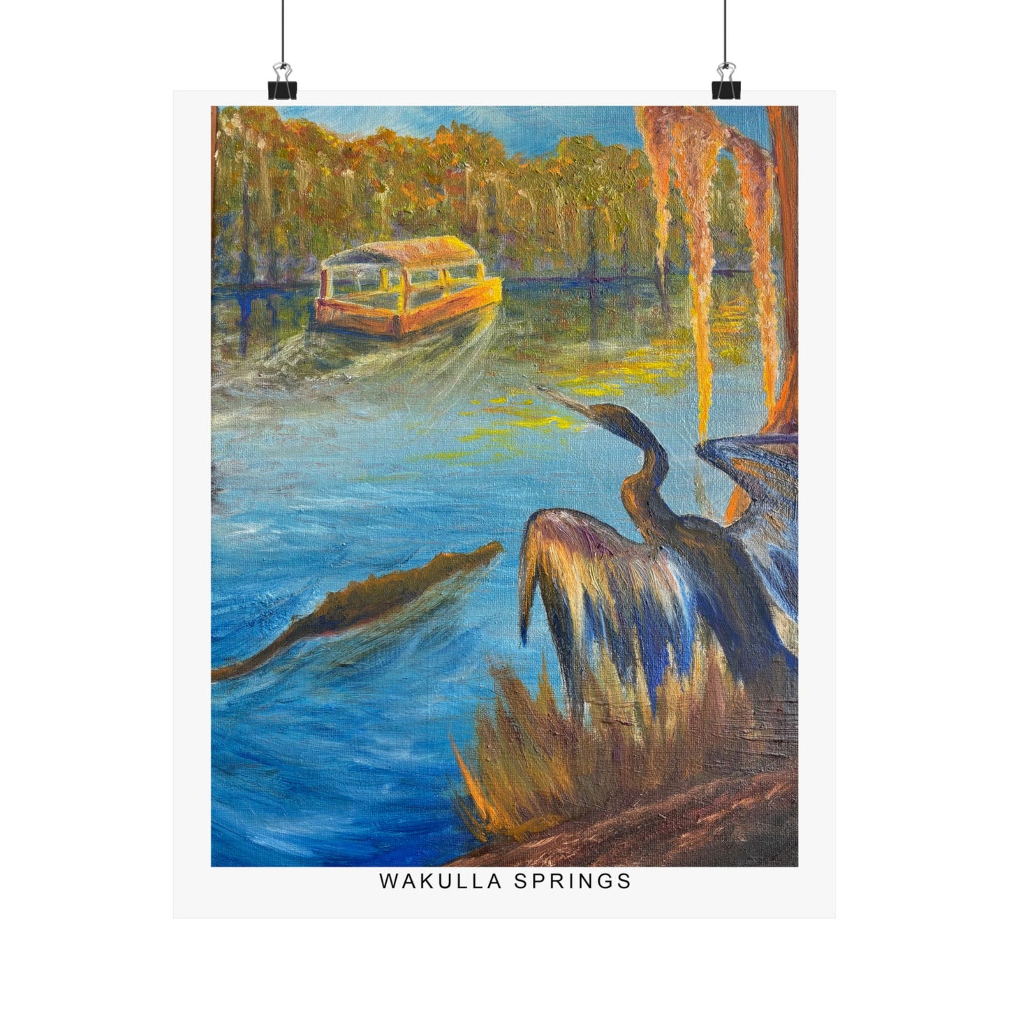 Wakulla Springs Anhinga Fine Art Print