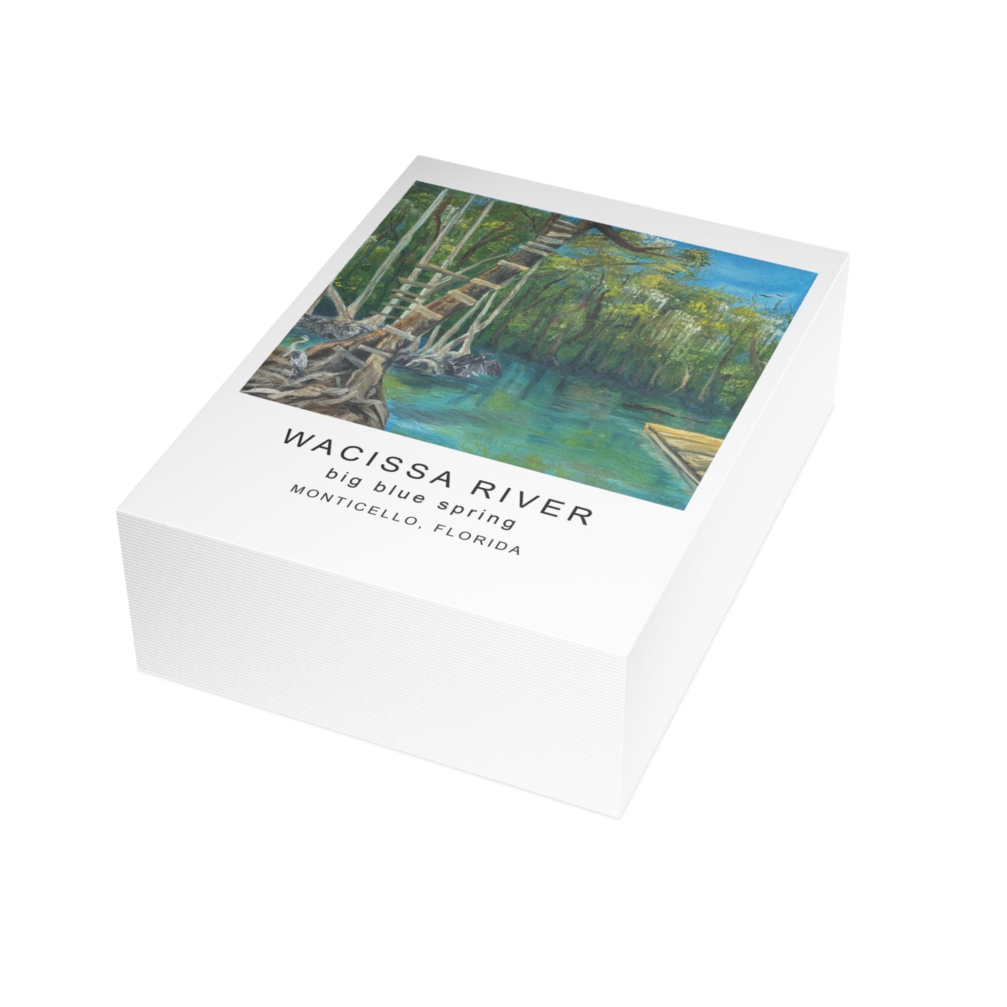 Wacissa River Big Blue Spring Postcard Bundle
