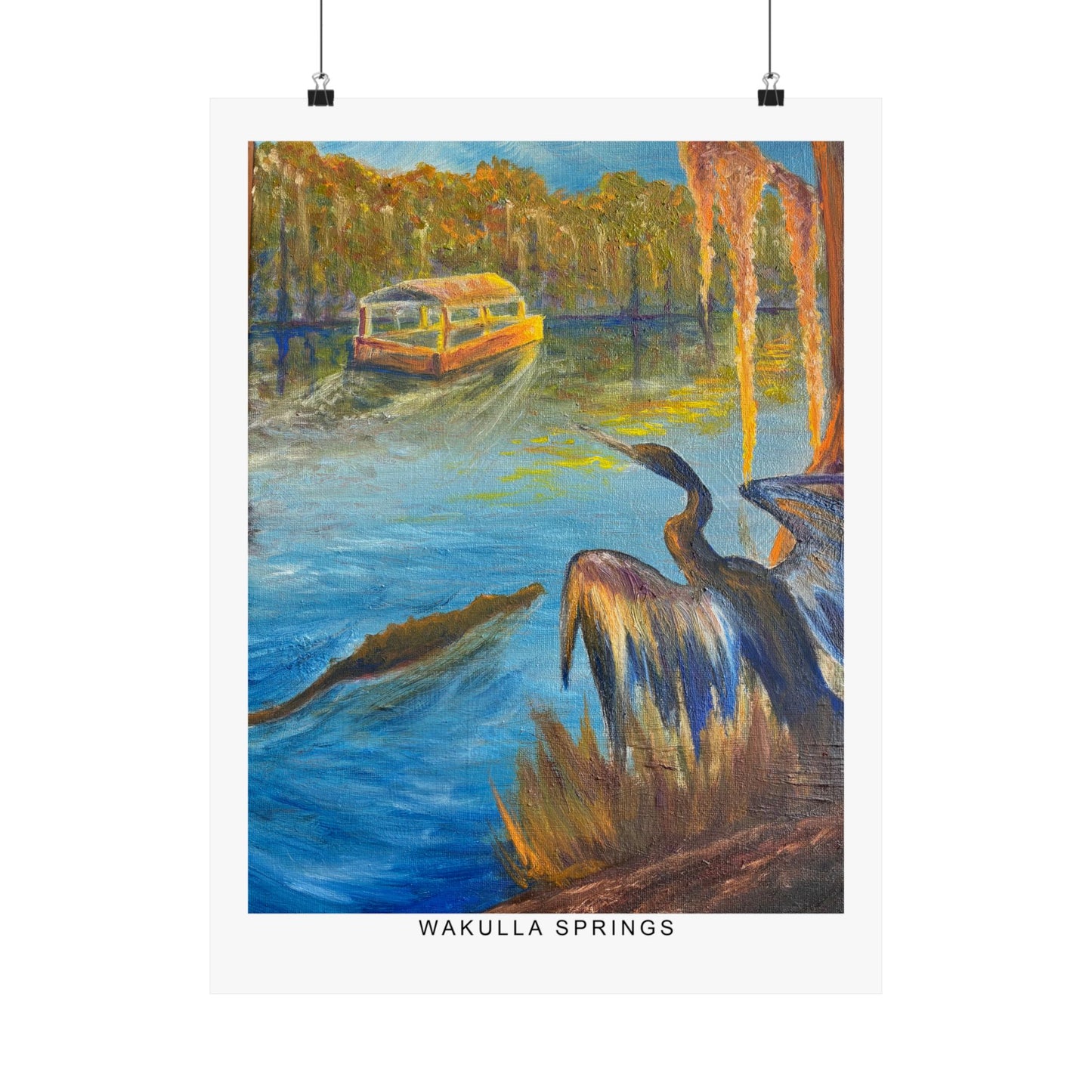 Wakulla Springs Anhinga Fine Art Print