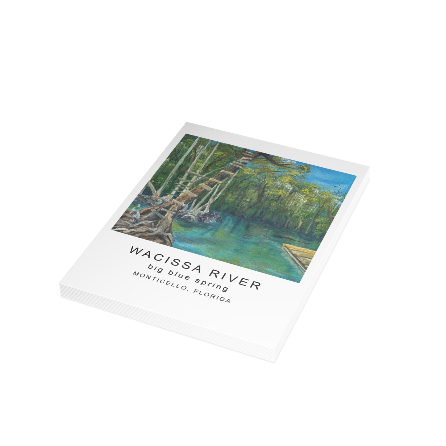 Wacissa River Big Blue Spring Postcard Bundle