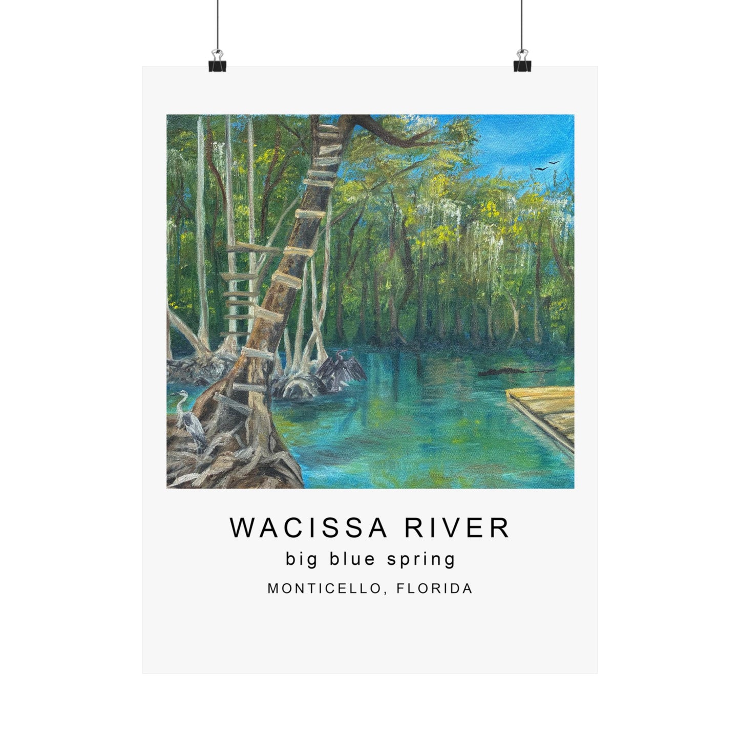 Wacissa River Big Blue Spring Fine Art Print