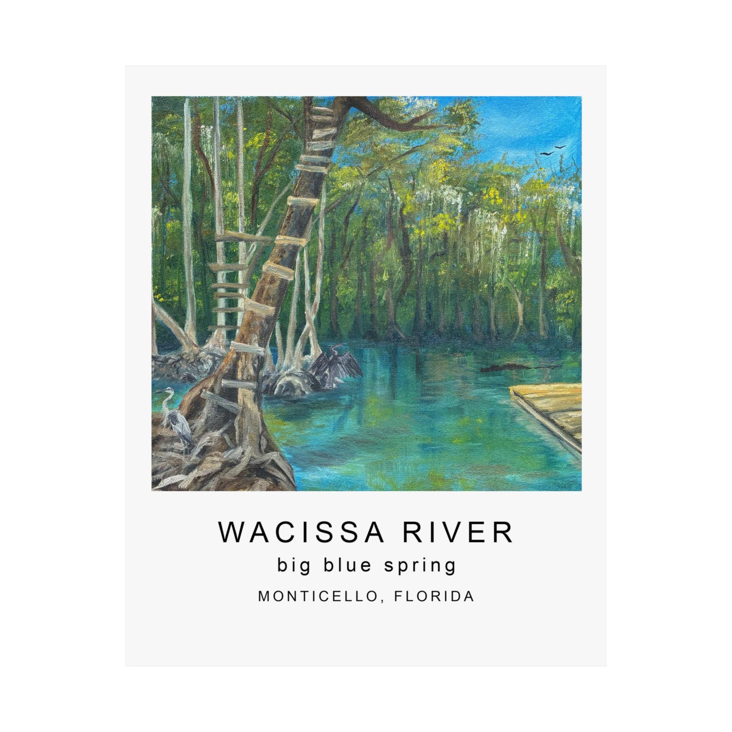 Wacissa River Big Blue Spring Fine Art Print