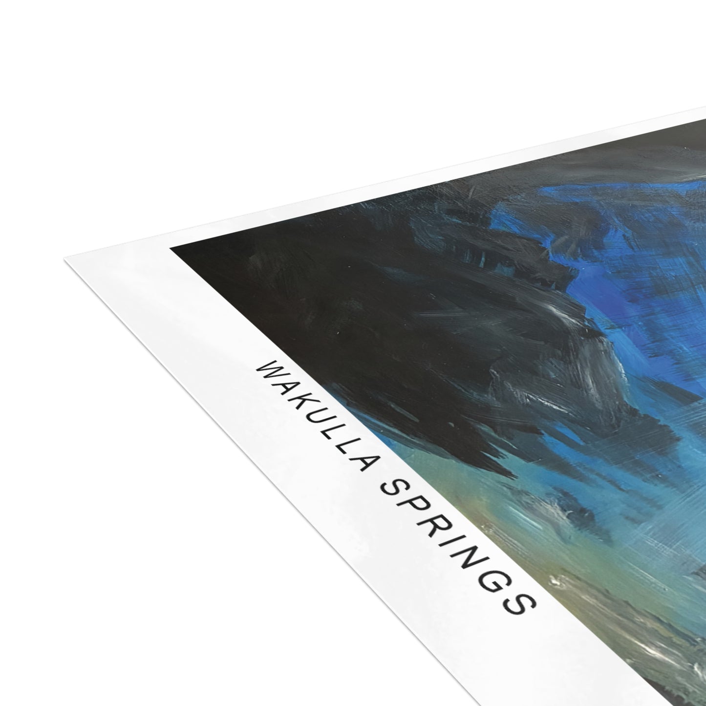 Wakulla Springs Postcard Bundle