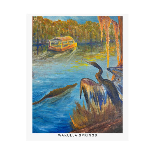 Wakulla Springs Anhinga Fine Art Print