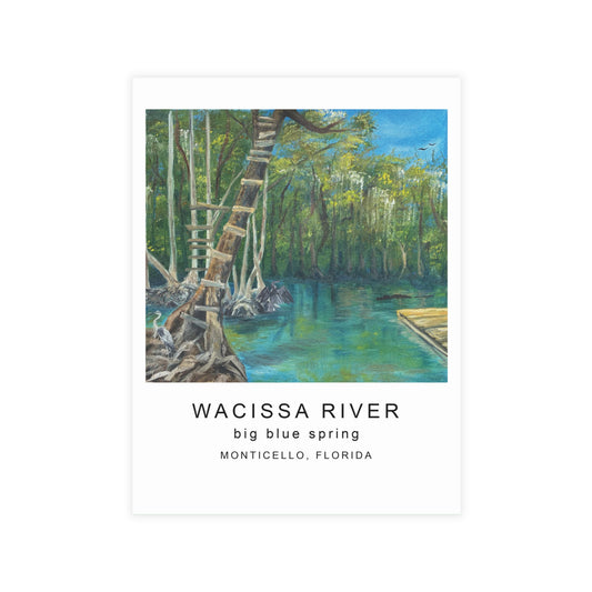 Wacissa River Big Blue Spring Postcard Bundle
