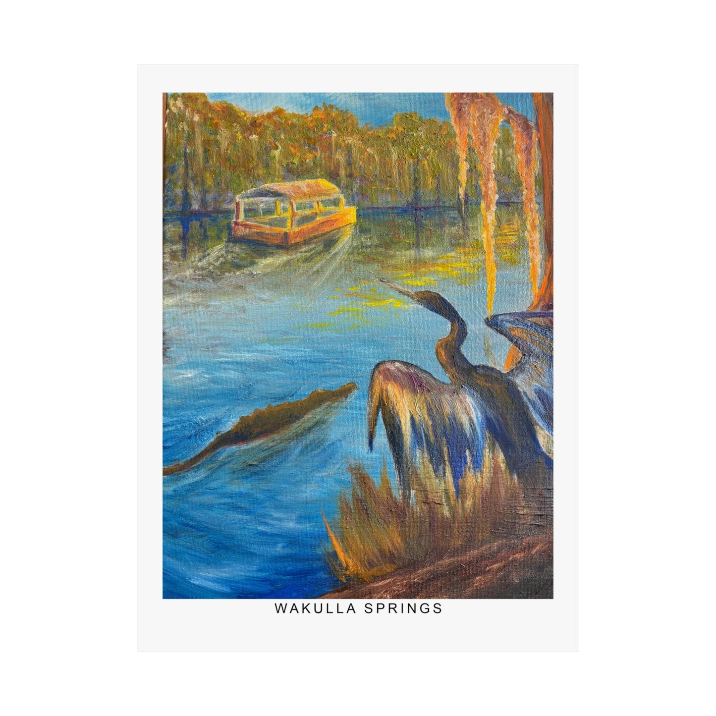 Wakulla Springs Anhinga Fine Art Print