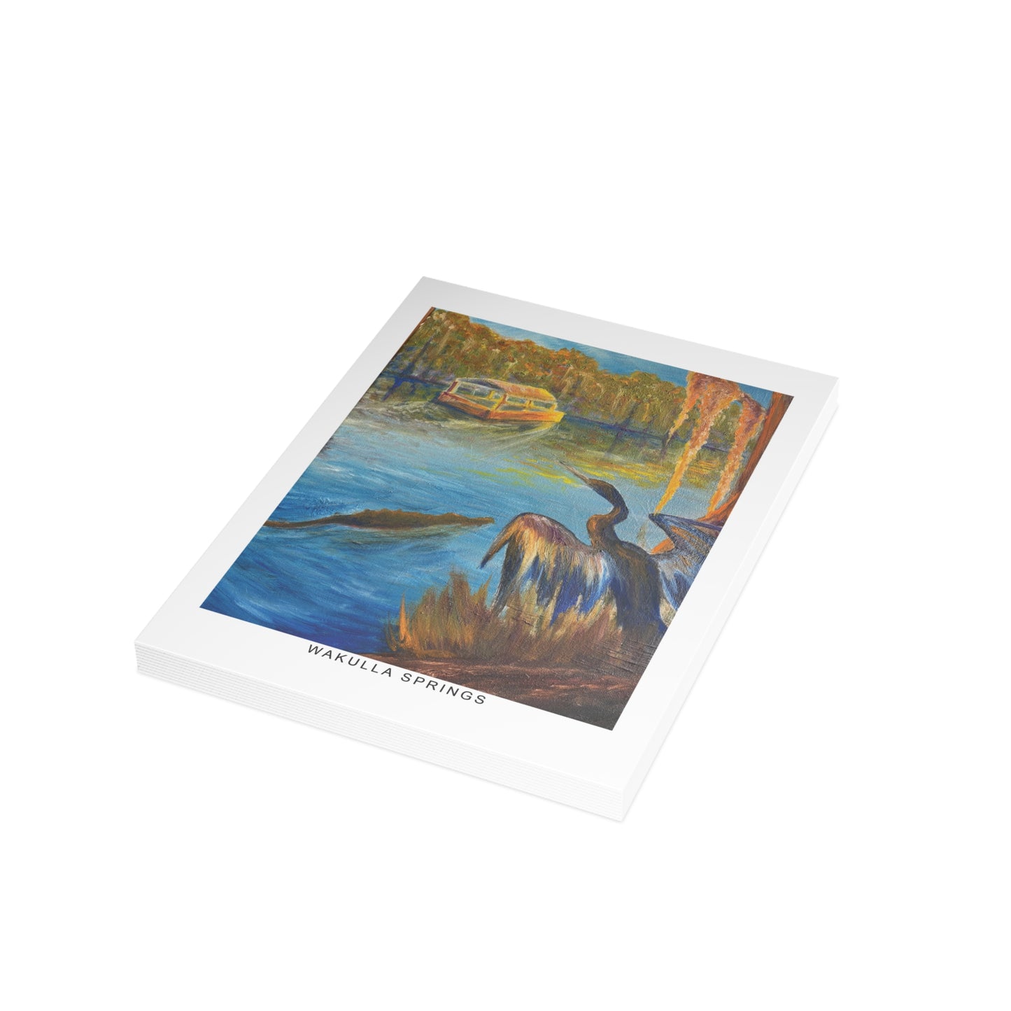 Wakulla Springs Anhinga Postcard Bundle