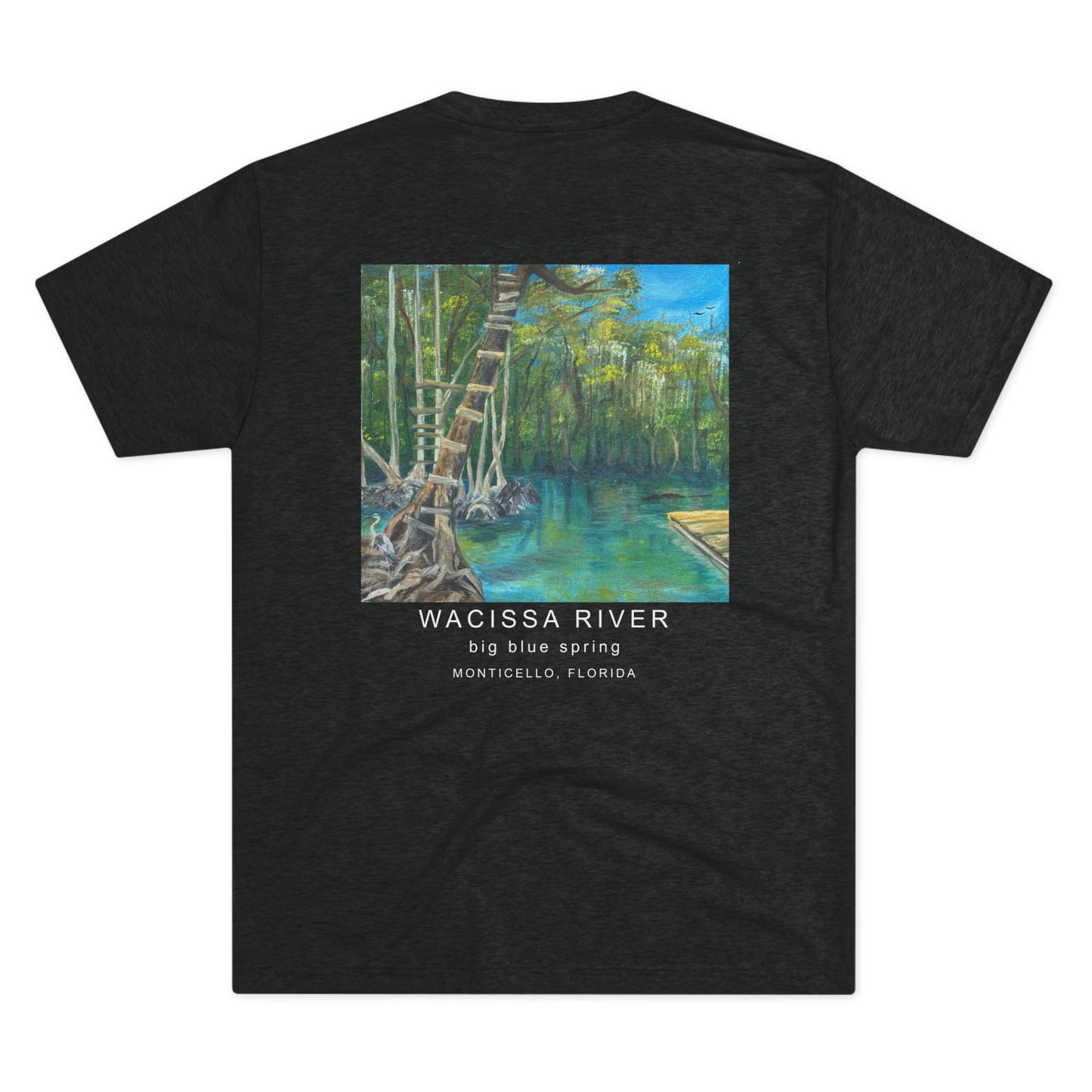 Wild Moss Studio | Wacissa River Big Blue Spring Tri Blend Unisex Shirt