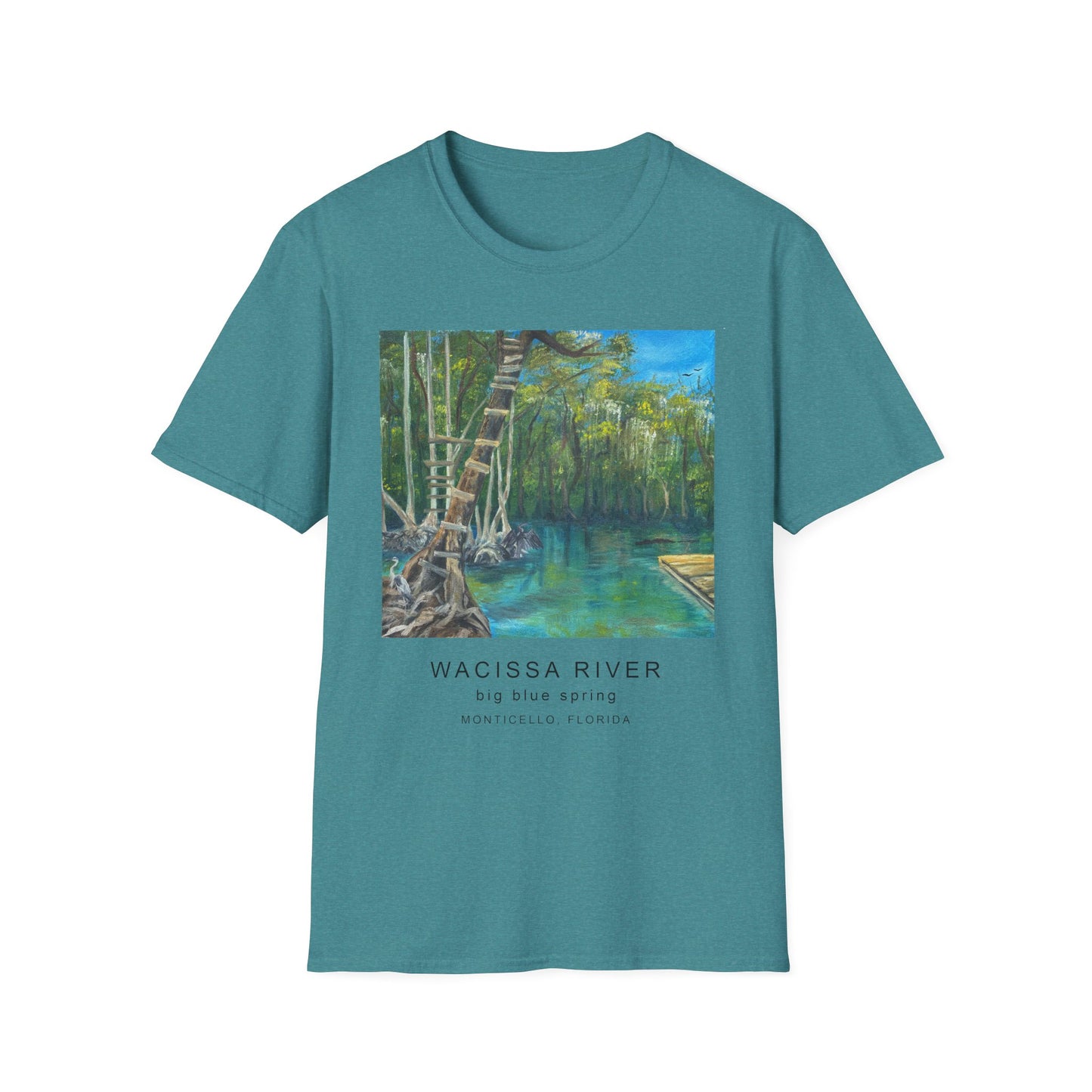 Wacissa River Big Blue Spring Unisex Softstyle T-Shirt (3 Colors Available)
