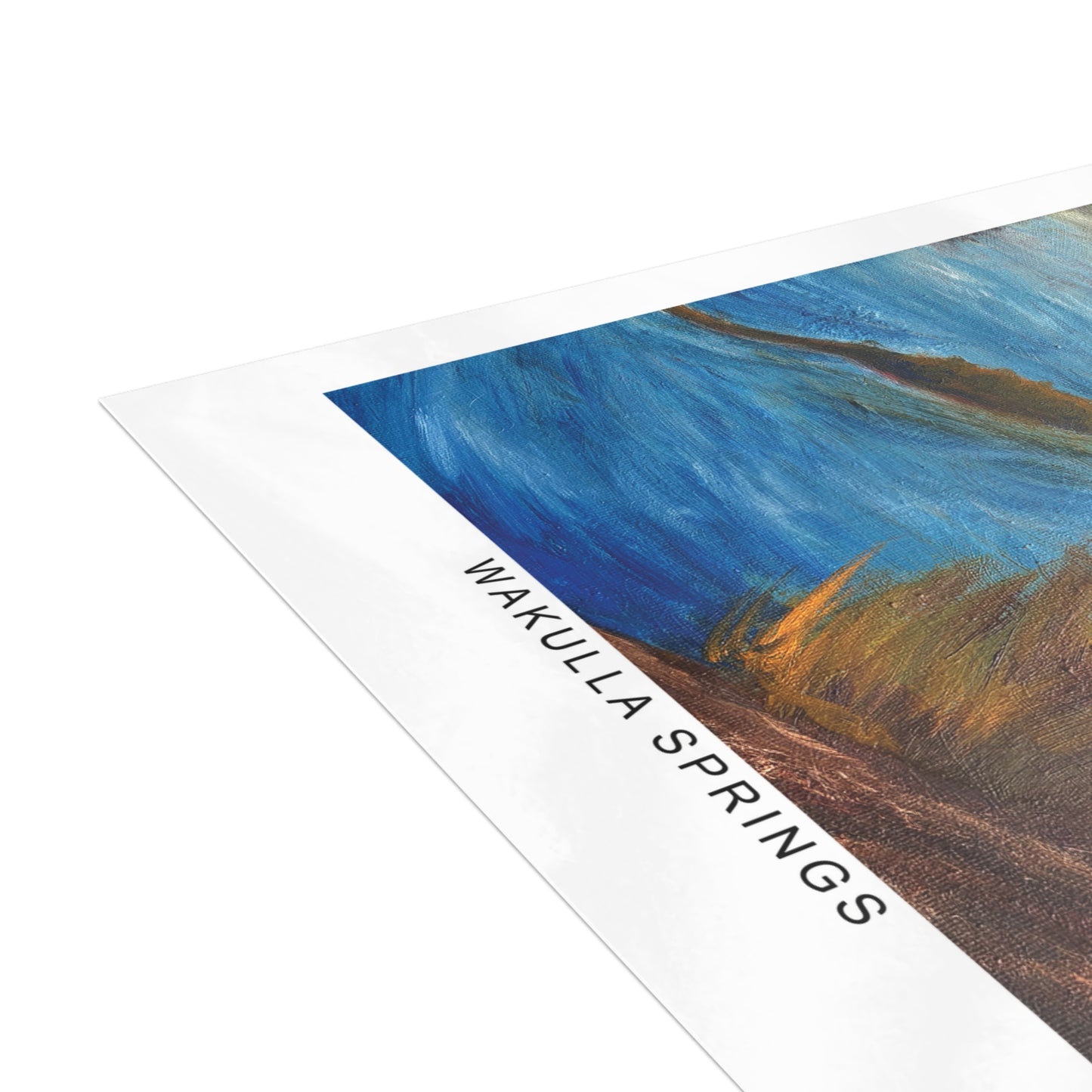 Wakulla Springs Anhinga Postcard Bundle