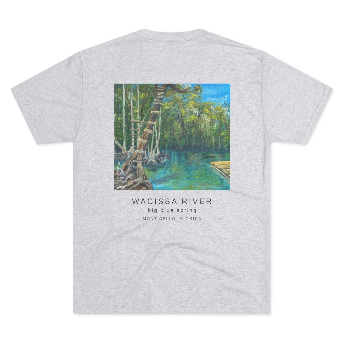 Wild Moss Studio | Wacissa River Big Blue Spring Tri Blend Unisex Shirt